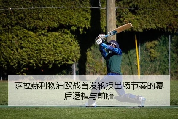 sa-la-he-li-wu-pu-ou-zhan-shou-fa-lun-huan-chu-chang-jie-zou-de-mu-hou-luo-ji-yu-qian-zhan-2-591.jpg